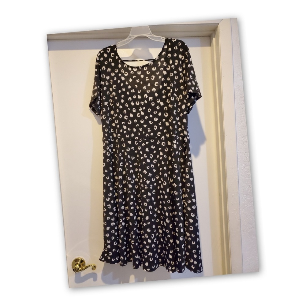 NWT-Gilli Black & White dress! So cute!